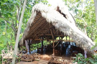 Dominican Tree House Village Restaurant 1 Dominican Tree House Village Restaurant 1